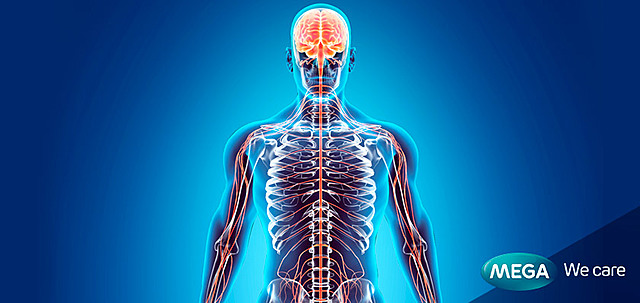 Fisiólogos Alemanes Gustau Fritsch y Eduard Hitzaing