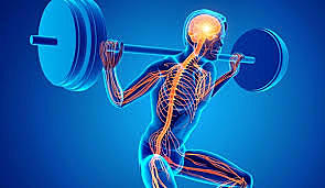 Emil Du Bois-Reymond