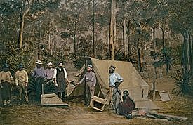 Gold Discovered in Queensland