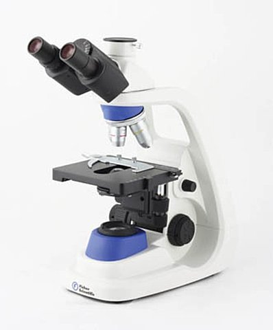 Microscopio compuesto