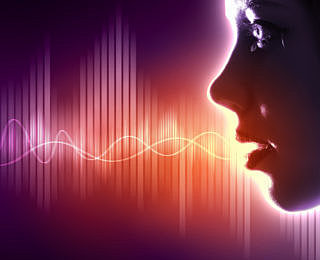 Identificador de voz