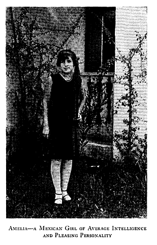 Library of Congress Collection “Prosperity and Thrift: the Coolidge Era and the Consumer Economy”   Book Title: “Americanization Through Homemaking”