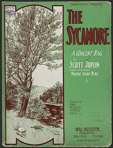 The Sycamore: A Concert Rag
