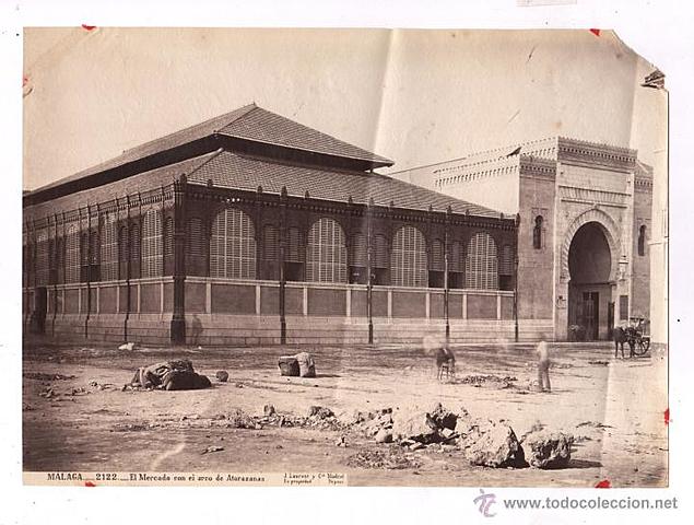 1.- Orígenes de la UMA