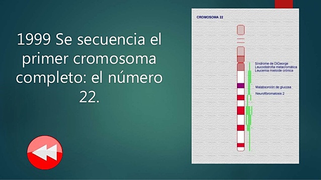Primer cromosoma