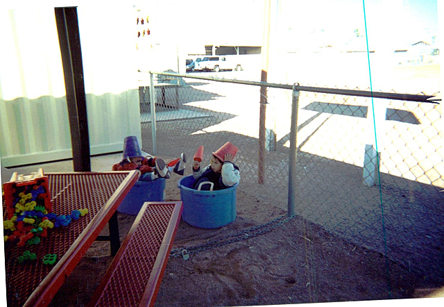 Early Childhood Cognitive Development