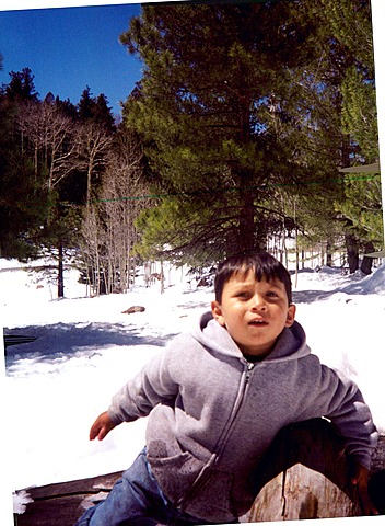 Early Childhood Language Development