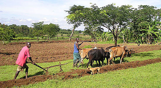 verandering in de landbouw