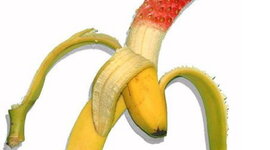 Timeline: Genetic Modification (edit)