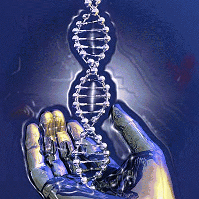 Timeline: HISTORIA DE LA GENETICA (BRENDA RODRIGUEZ)