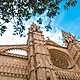 Palma cathedral 01