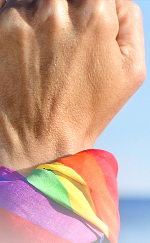 U.S. Supreme Court Upholds Sodomy Law