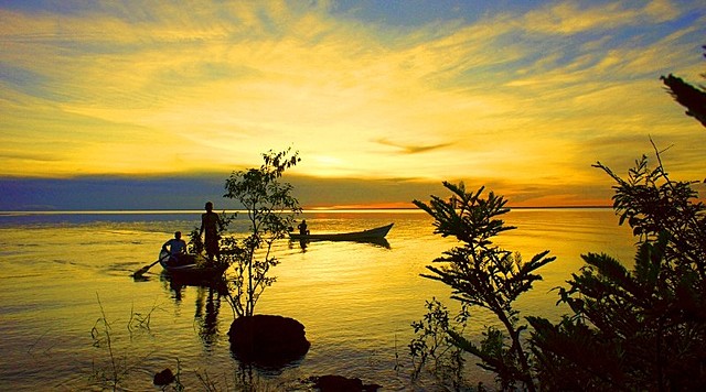 Ecología del Siglo XX