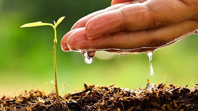 Promulgación de la ley de conservación de agua y suelo