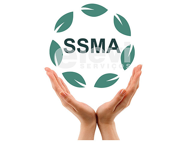 Creación de la Subsecretaría de Mejoramiento del Ambiente (SSMA)