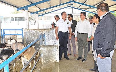 Origen De La Zootecnia