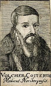 VOLCHER COITER