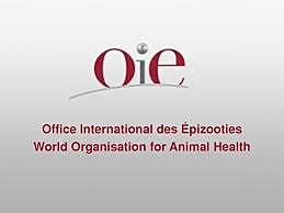 OFICINA INTERNACIONAL DE EPIZOOTIAS