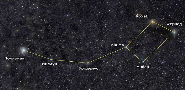 Большая Медведица