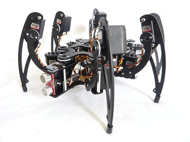 Первый гексапод