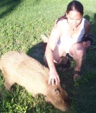 Una família humana el recull