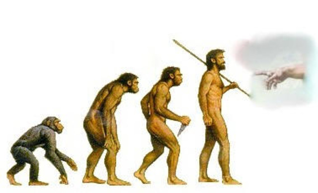 Macroevolution