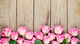 Timeline: Rutina de belleza