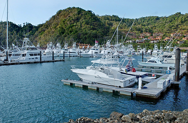Reglamento de operadores turísticos.