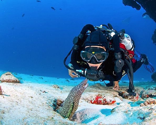 Se crea el Reglamento para la prestación de Servicios Turísticos de Buceo