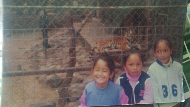 Viaje Al Zoológico De León Con Toda Mi Familia