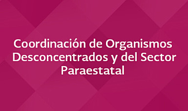 Coordinación General del Sector Paraestatal Turístico