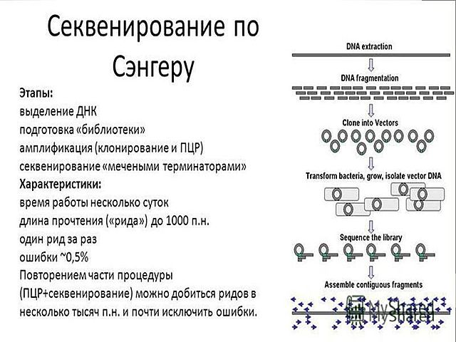 Открытие Сангером метода секвенирования