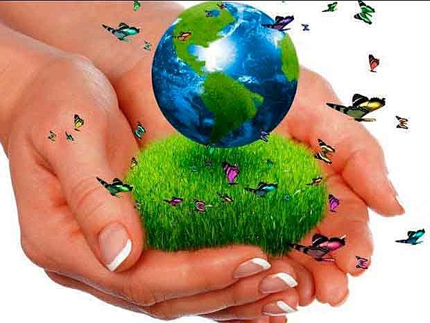 OMT preseta programa de Naciones Unidas para el medio Ambiente