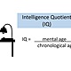 Iq
