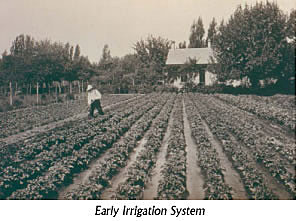 Irrigation incorporation
