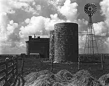 Silos start trending