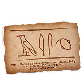 PRIMEROS ESCRITOS DEL SISTEMA NERVIOSO