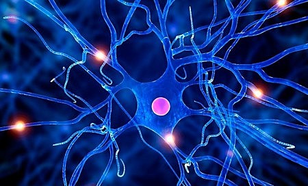 CÉLULAS Y CONDUCCION NERVIOSA