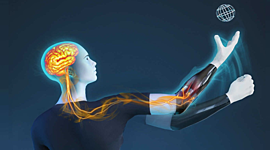 Timeline: История бионики