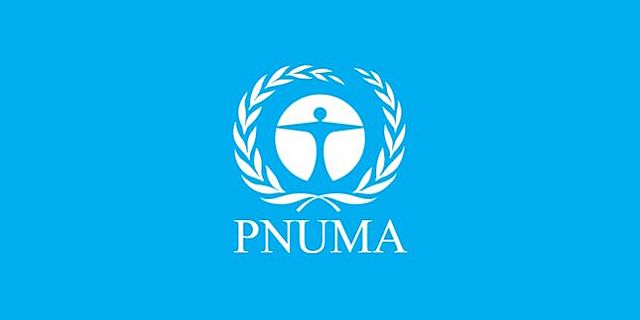 Programa de Naciones Unidas para el Medio Ambiente (PNUMA)