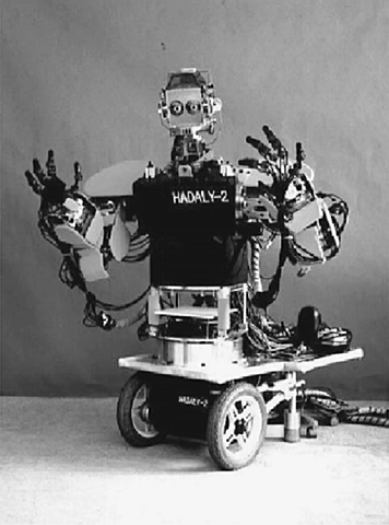 Робот Hadaly