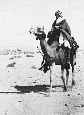 Arab Revolt of Hejaz
