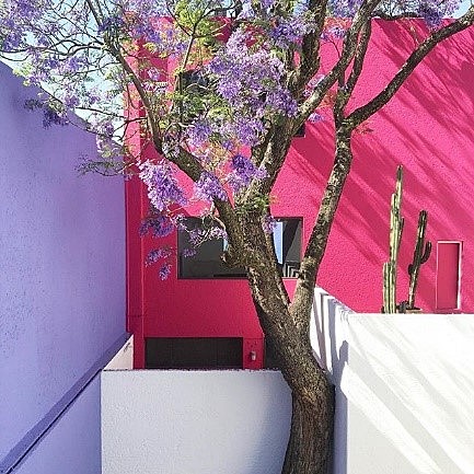 Casa Gilardi-Luis Ramiro Barragán Morfín