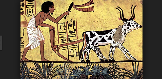 Farming Begins in the Fertile Crescent