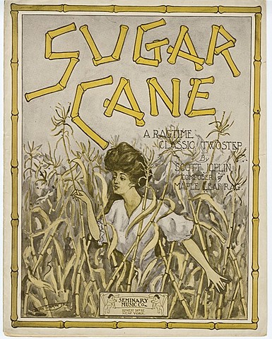 Sugar Cane