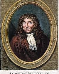 Anton van Leeuwenhoek (1677)