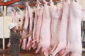 AInicio de matanzas regladas en lugares llamados mataderos  (150 a.C(