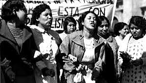 Un largo camino hasta la cima