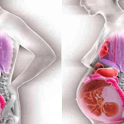Timeline: DESARROLLO EN EL EMBARAZO