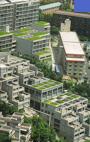 Complejo Residencial Rokko